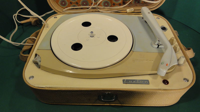 Plik:Maestro foto -11.JPG