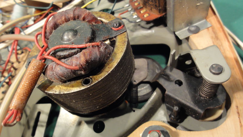 Plik:Maestro foto -22.JPG