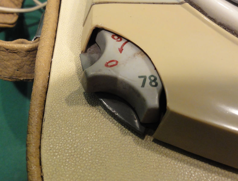 Plik:Maestro foto -10.JPG