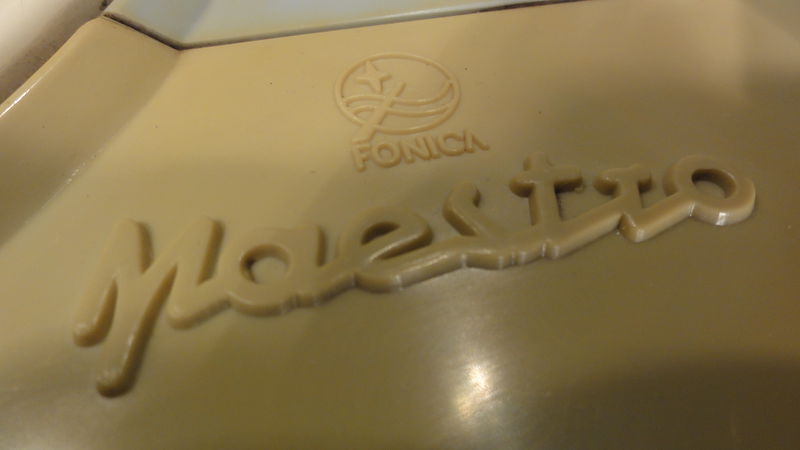 Plik:Maestro foto -09.JPG