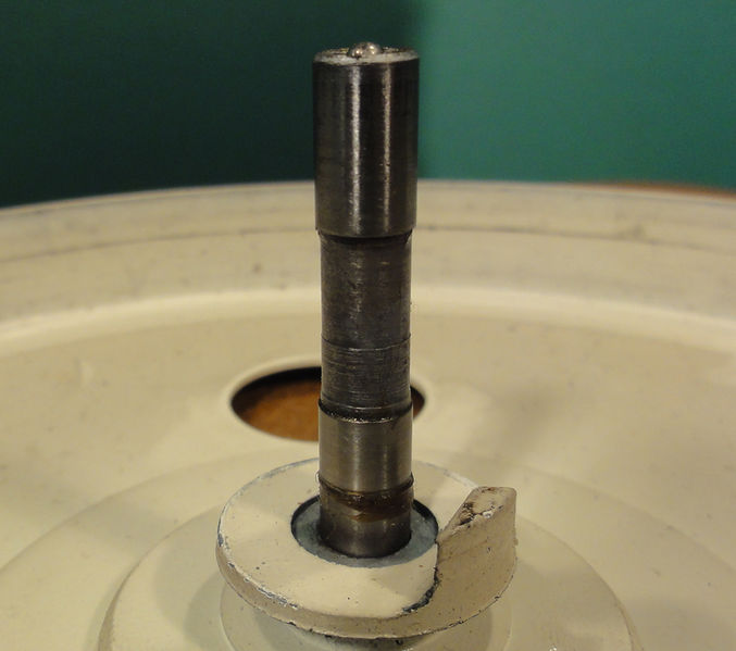 Plik:Maestro foto -18.JPG