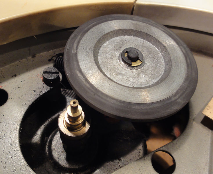 Plik:Maestro foto -14.JPG